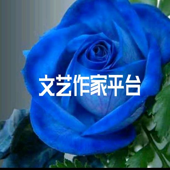 高峰达人（文艺作家平台）