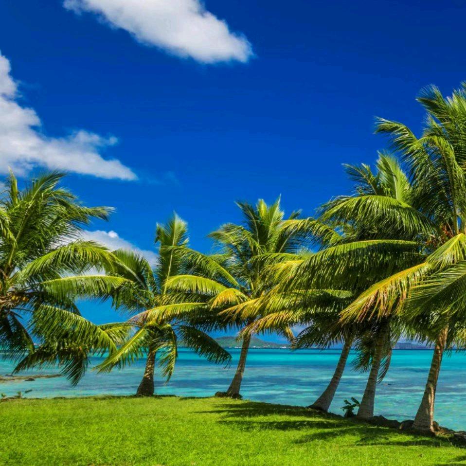 不想取名。。。