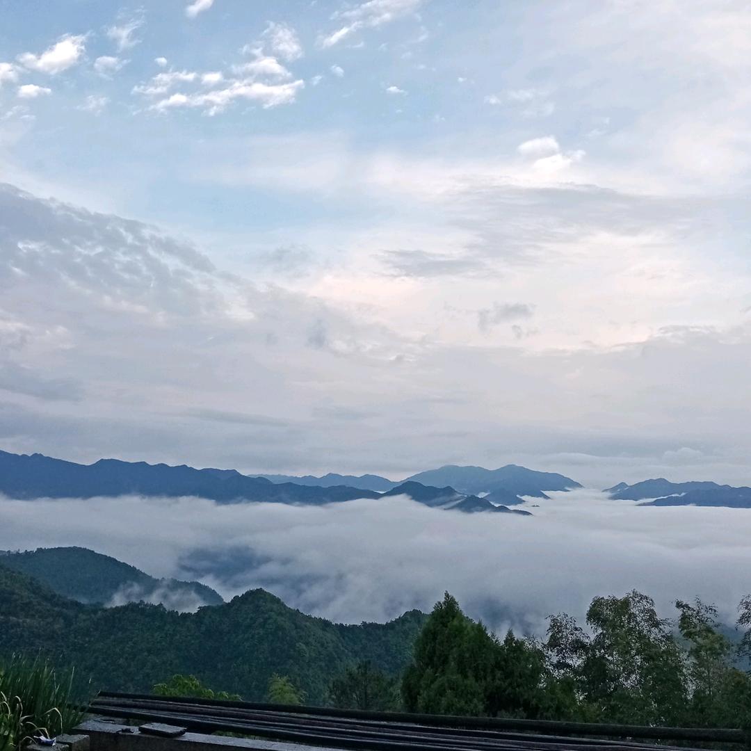 高山人家