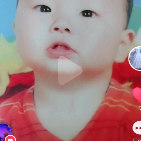 雁归来