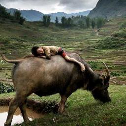 缘份让我认识你