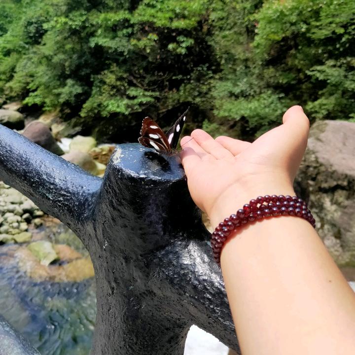 小郭