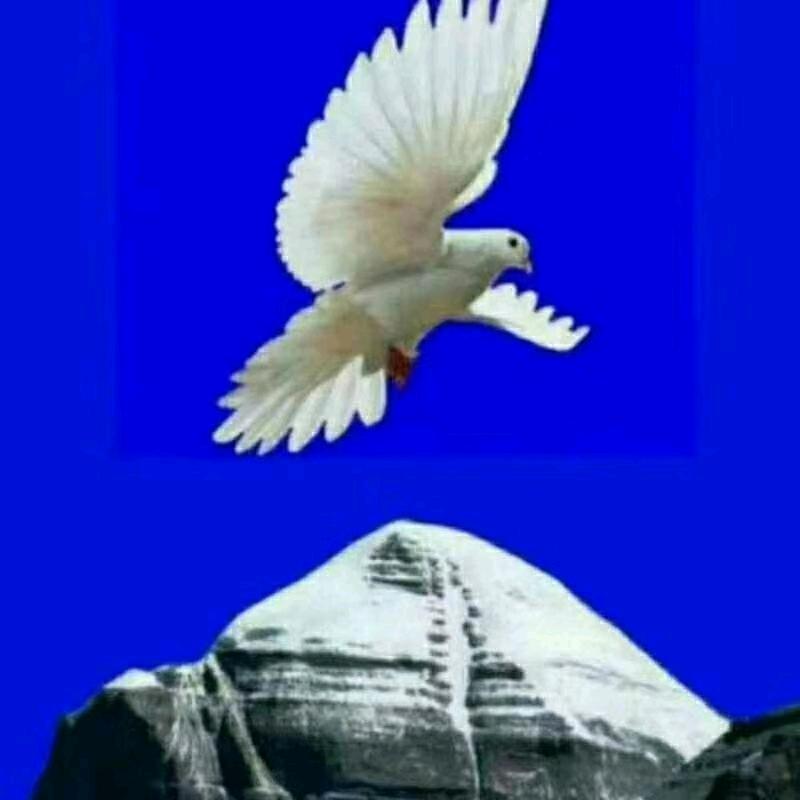 低调做人，高调做事。