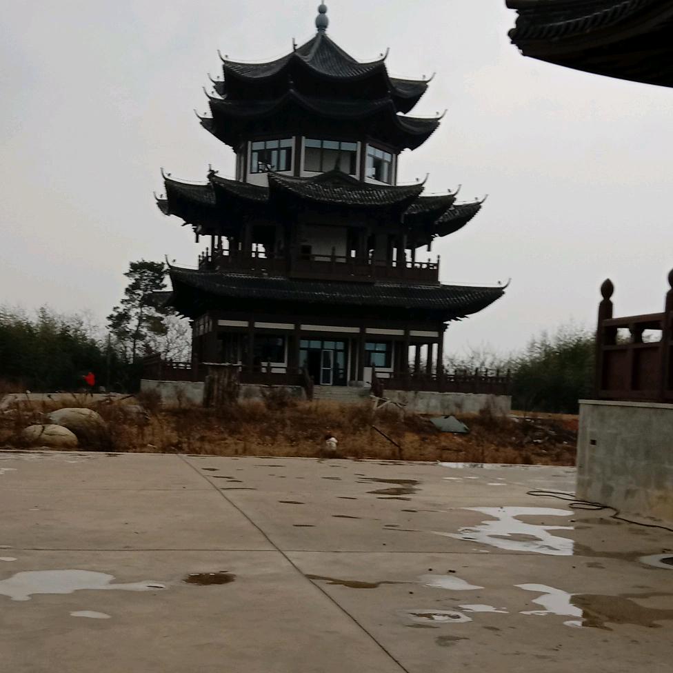 幸福其实就像花儿一样