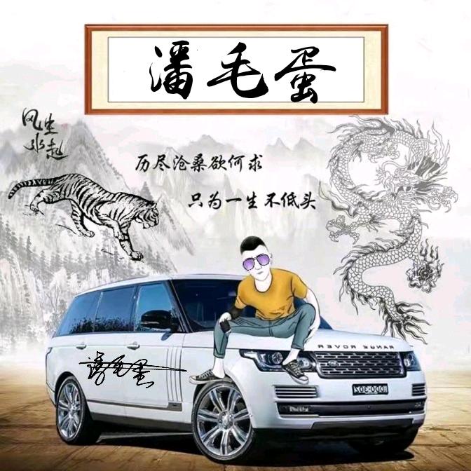 潘毛蛋《王者荣耀》