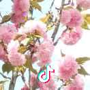 冬暖夏凉