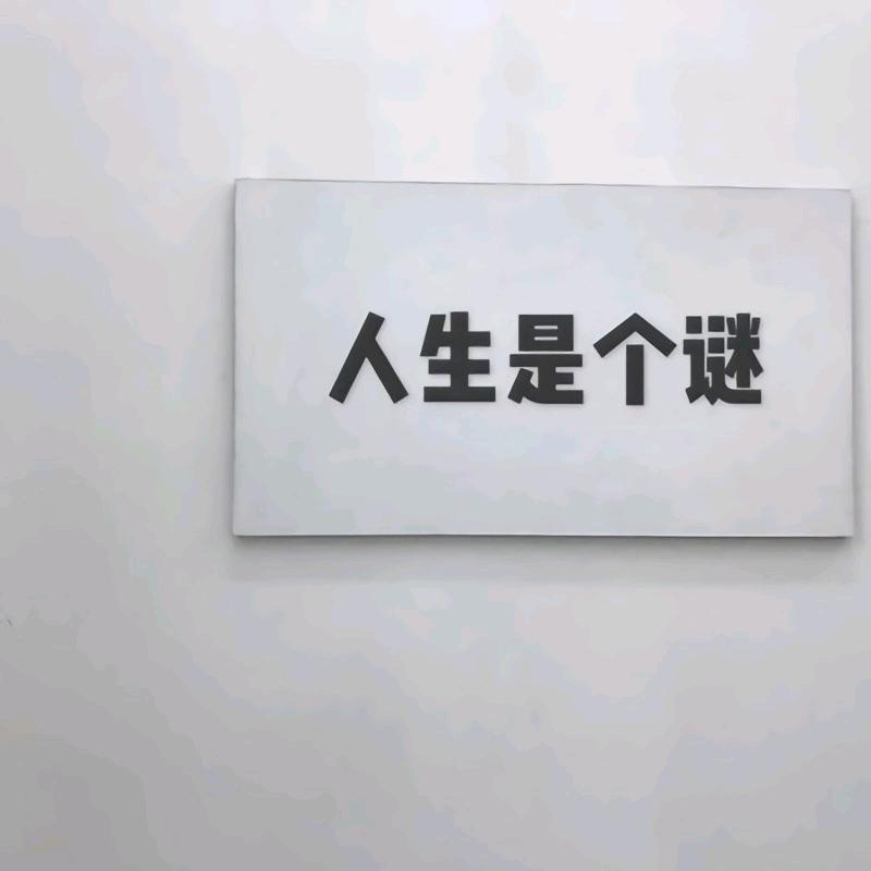 朴质