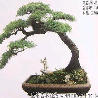 俊哥