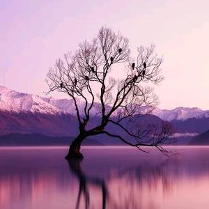 🍇阿🌴 布🍧 哩