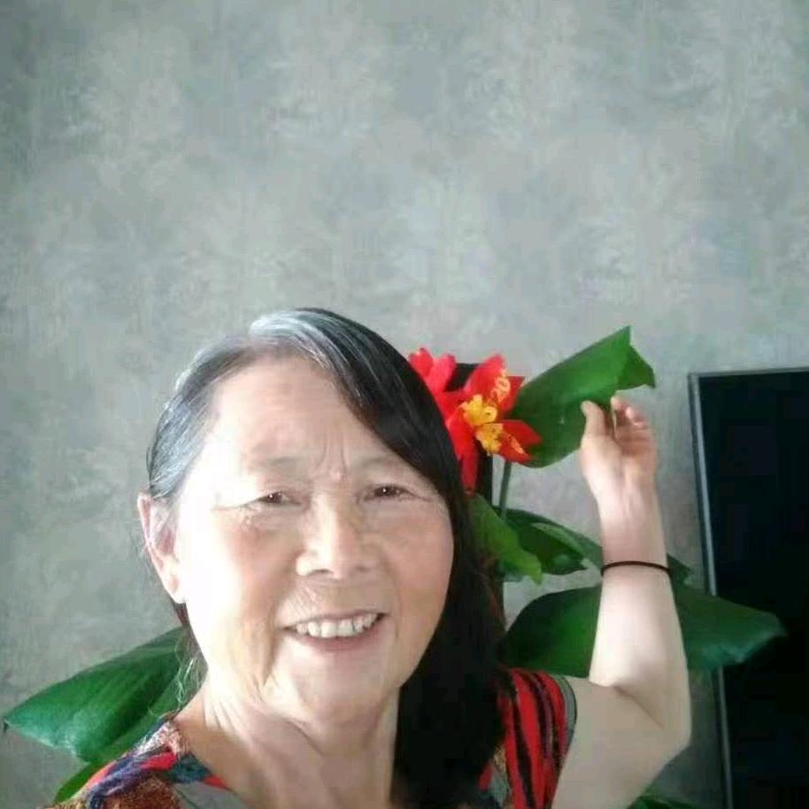 清晨的阳光