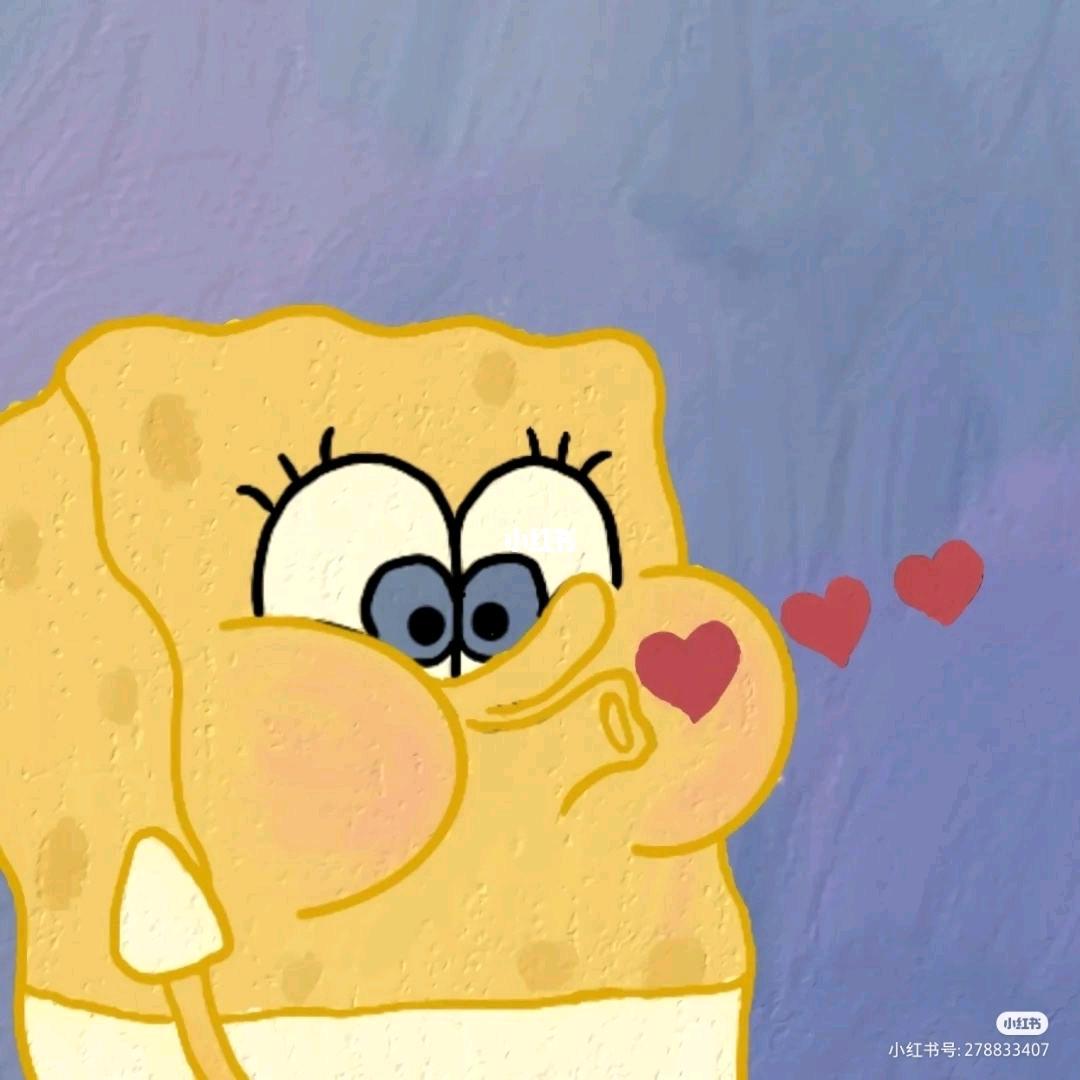 🌈🌈🌈♧偷腥的猫