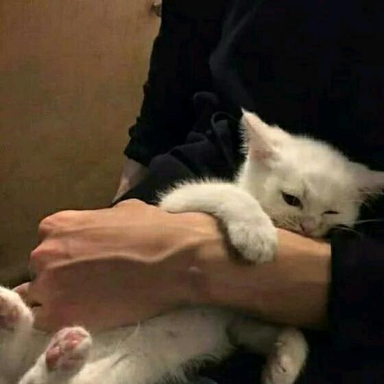 向阳而生，