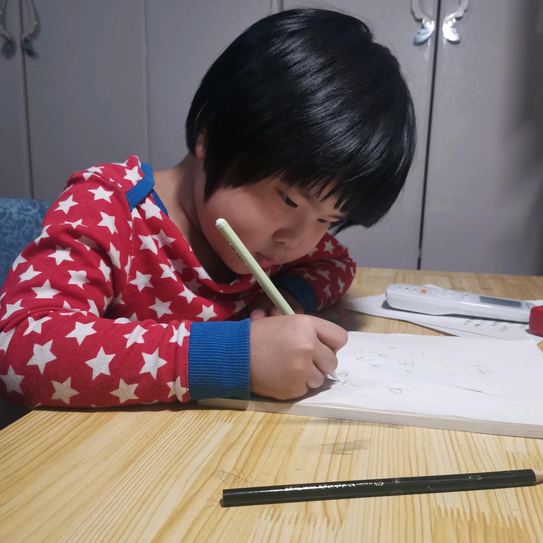 樱花草.