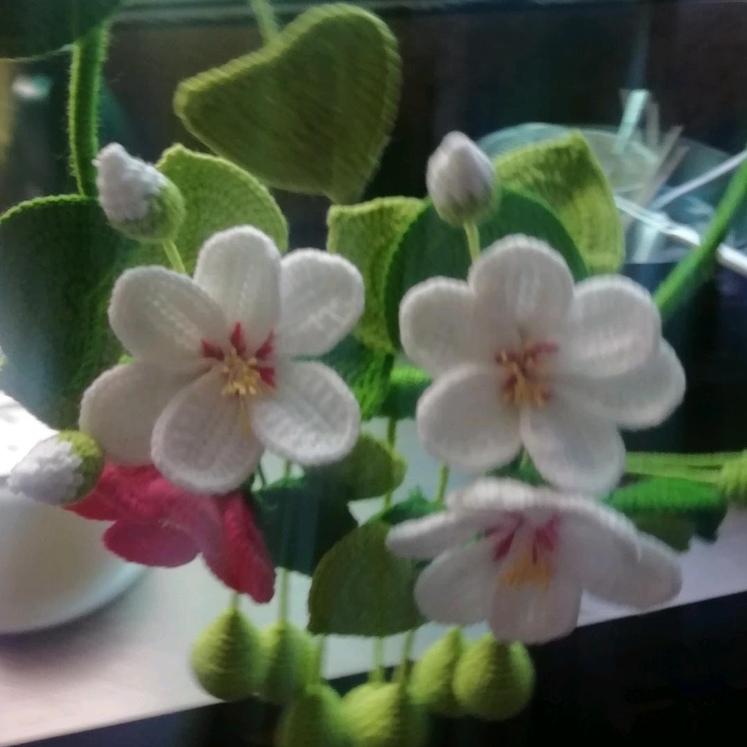 务川毛线钩织董妹不定时开播