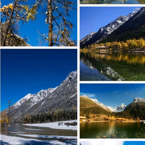 小胖小胖你最棒