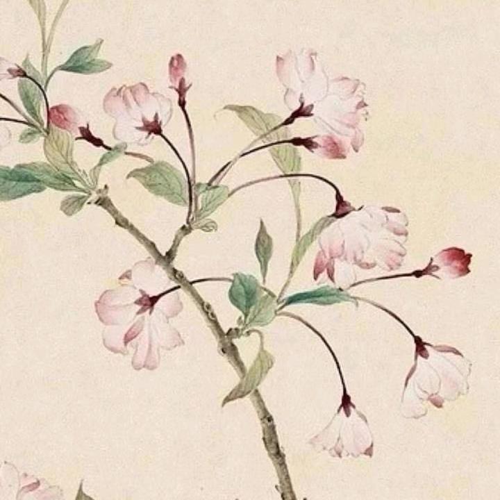 平安喜乐身体健康