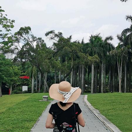 风小