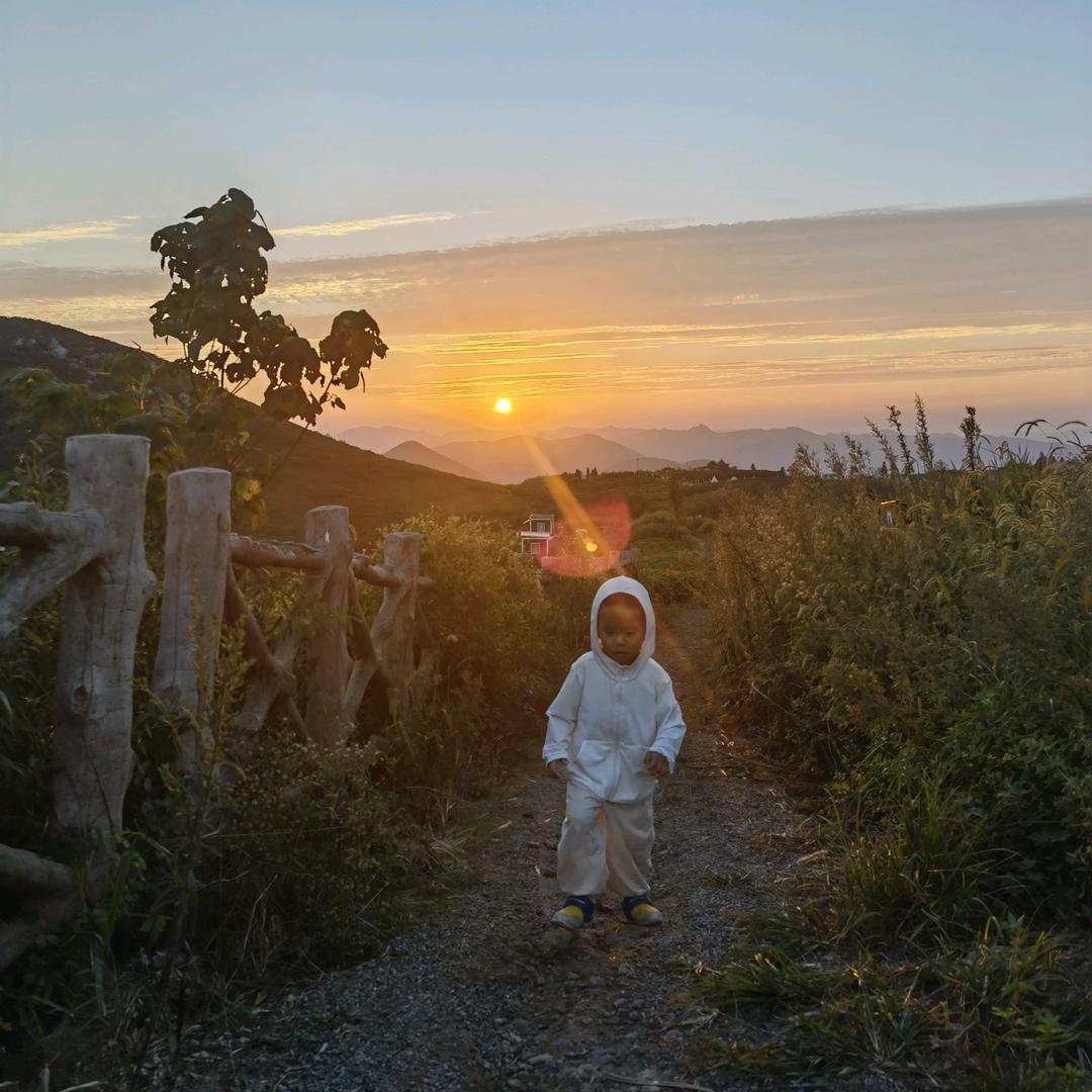 乔木纺织（坯布/半漂）