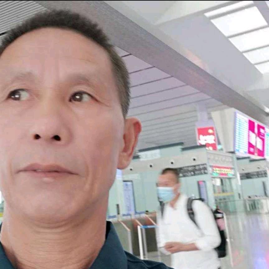 蒲鸡毛