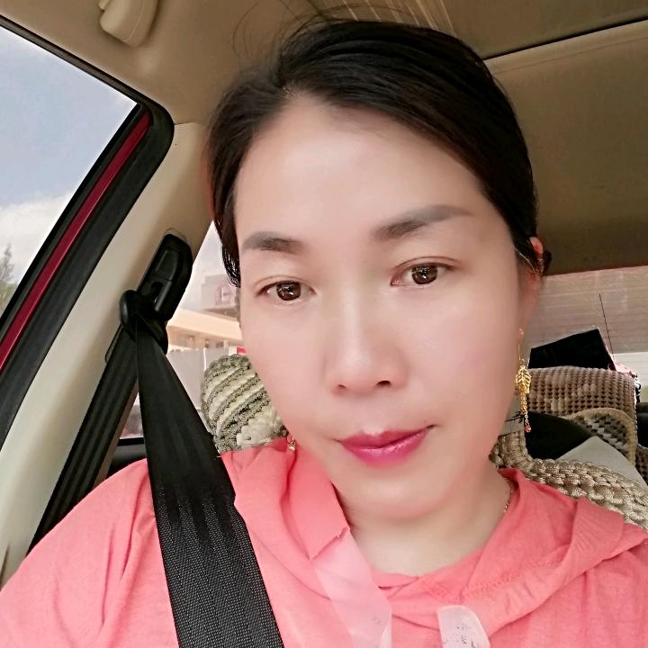 杨不悔