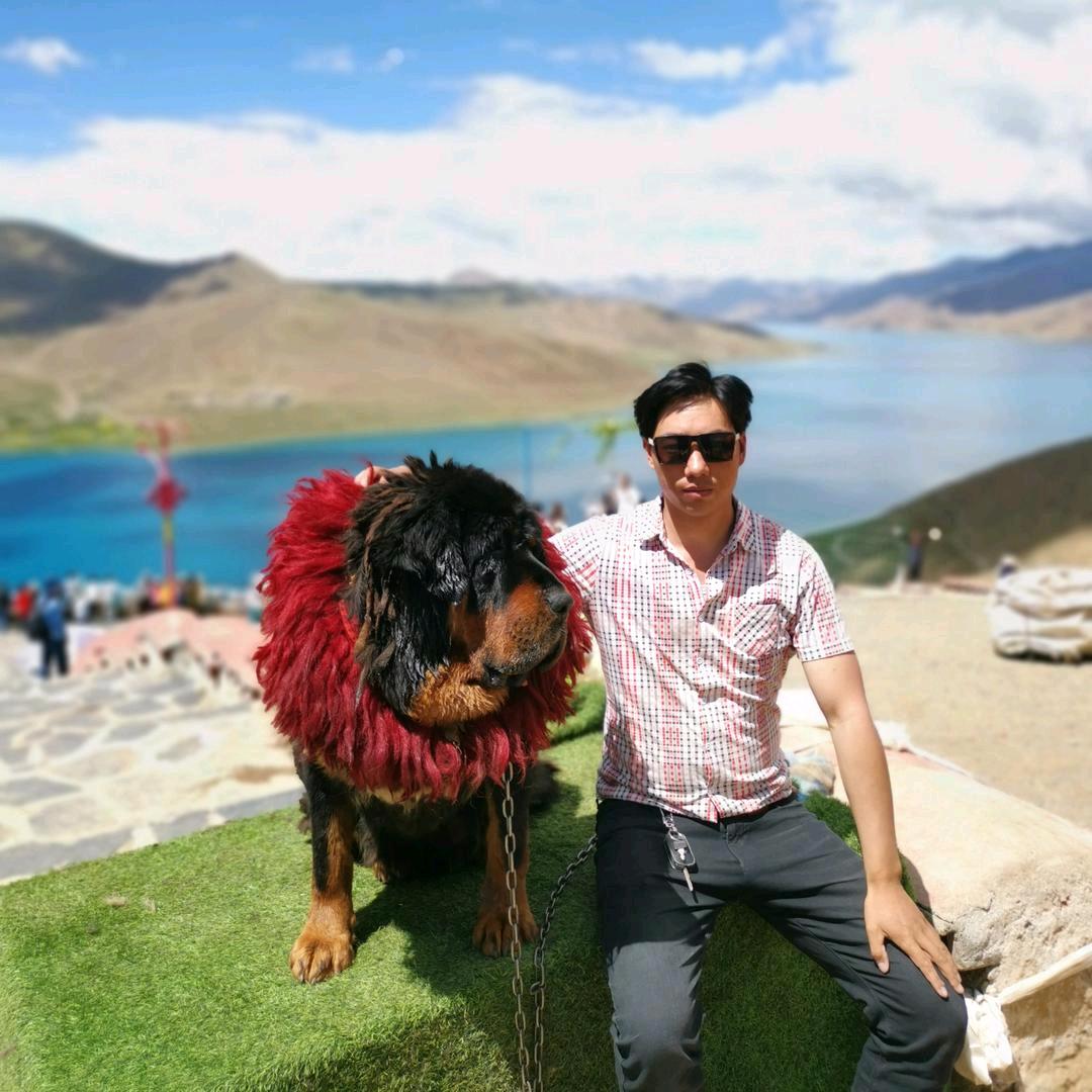 川藏线领队[郎 哥】