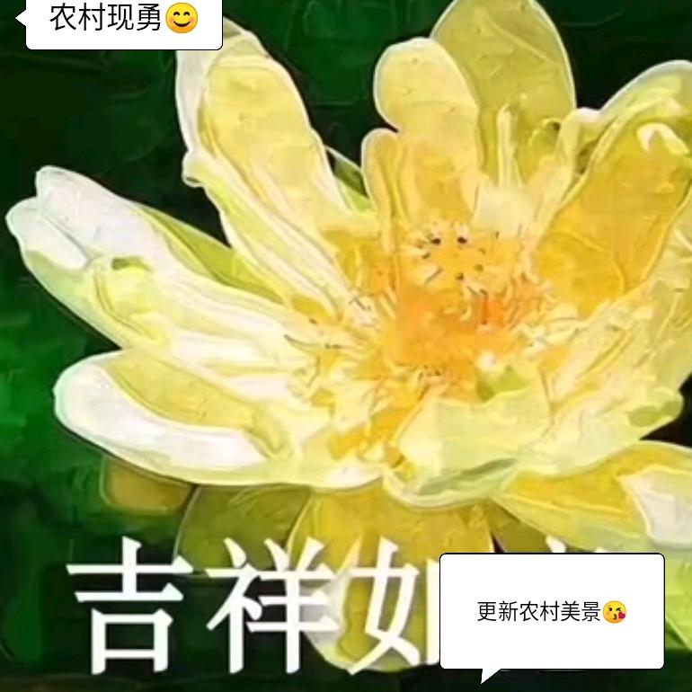 事事顺心