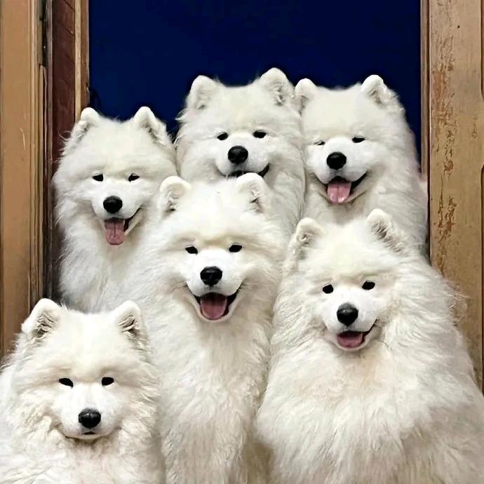 ##