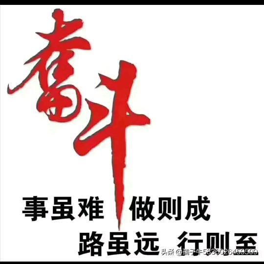 啊龙哥
