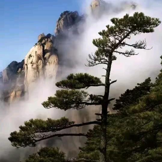 一帆风顺^_^