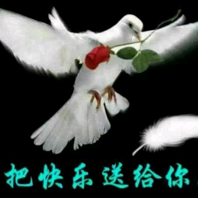 开心面对每一天