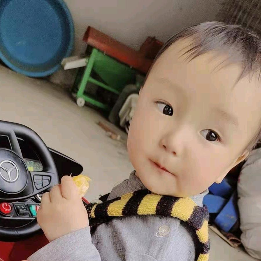 杨营孑，老杨，红薯加工，