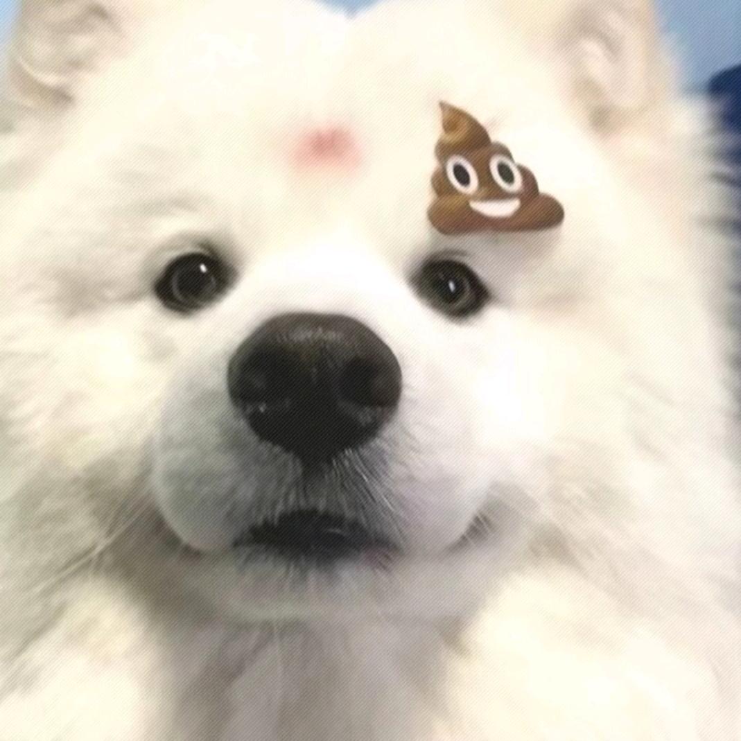 糖醋排骨吃不腻