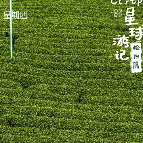 一品带刀护卫，兵814