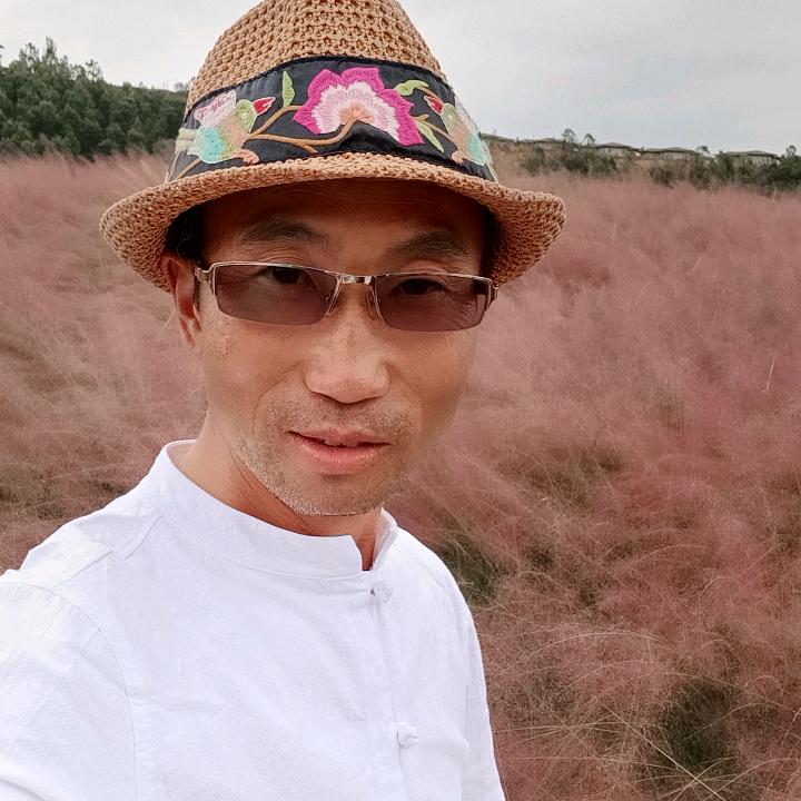 苦乐年华（阳光花卉）