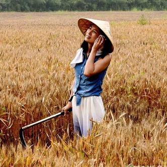 农业植保🌾妮诚