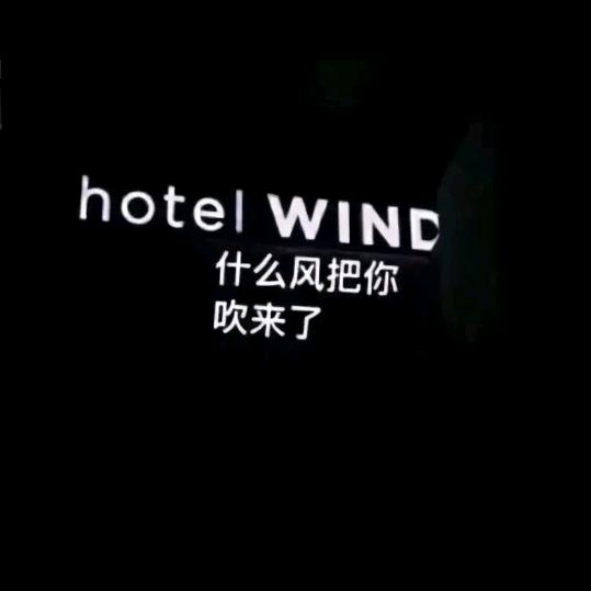 宝宝
