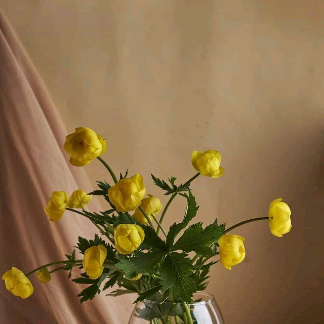 99两双麻城万家巷惠沐紫鞋仓