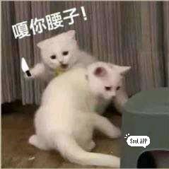 主播离开一会儿.稍等马上回来