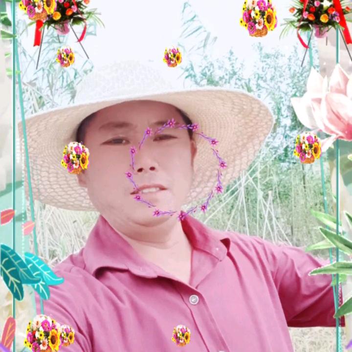 养羊哥