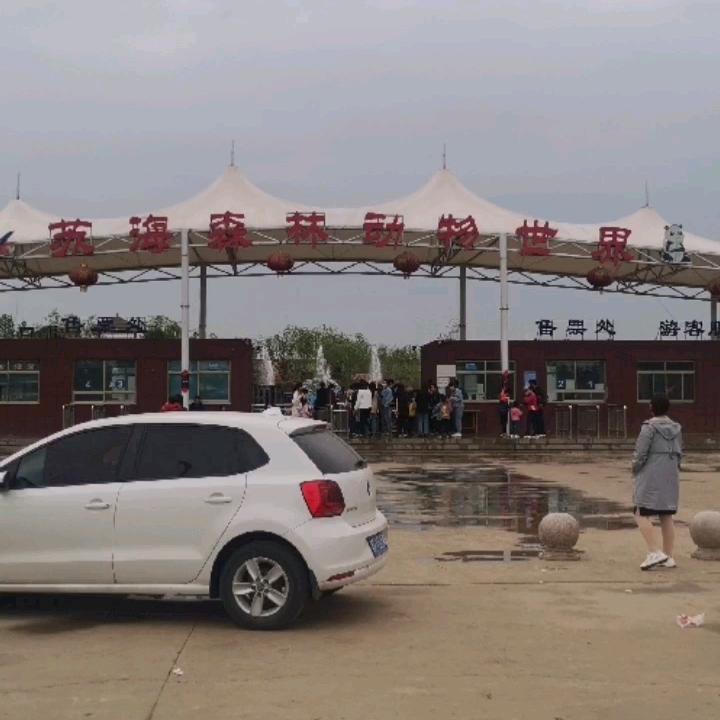 梦之恋。