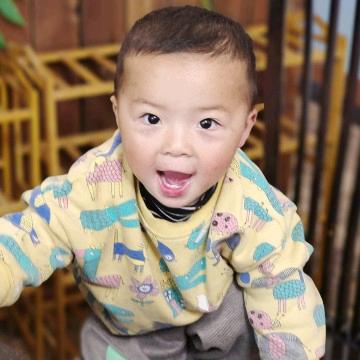 小石头