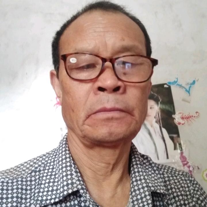 没有尾巴的猪