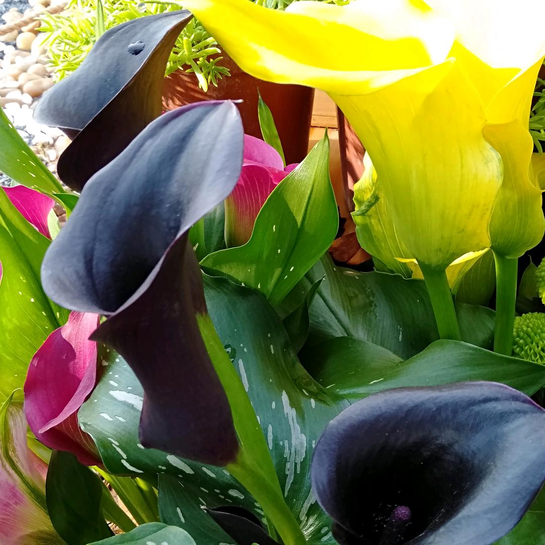 2369657324963（谢绝连赞）