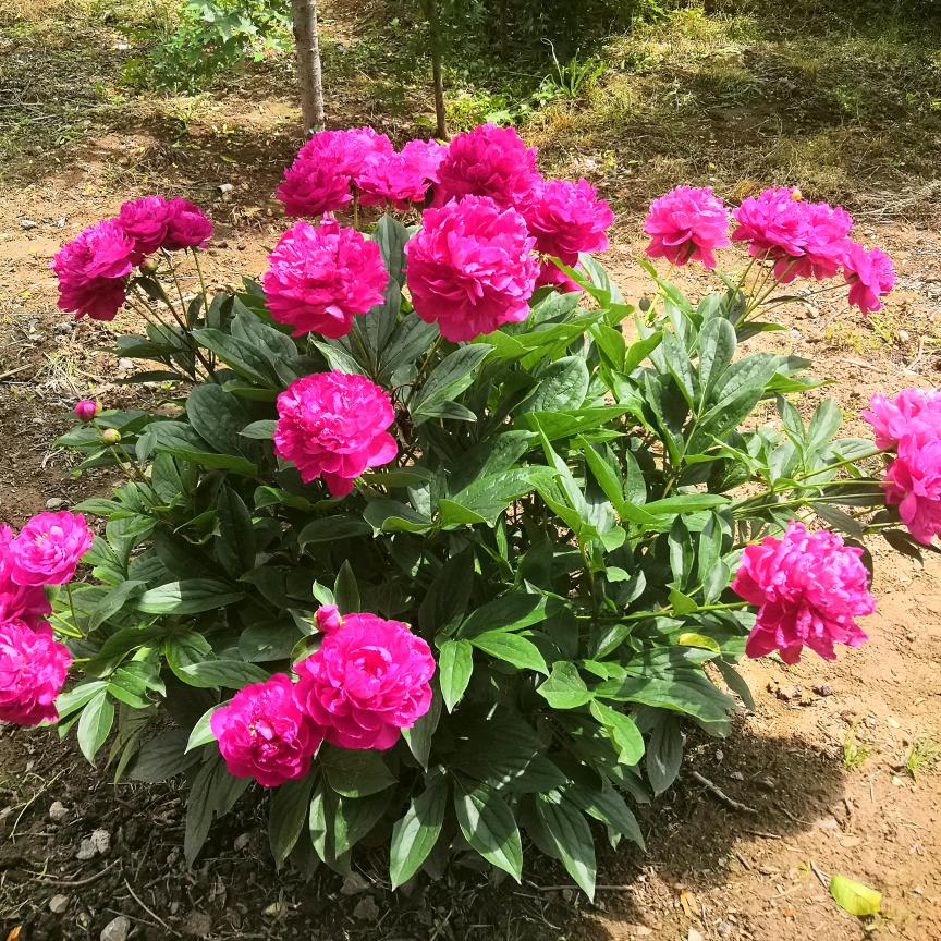 嗯ヽ(○^㉨^)ﾉ♪