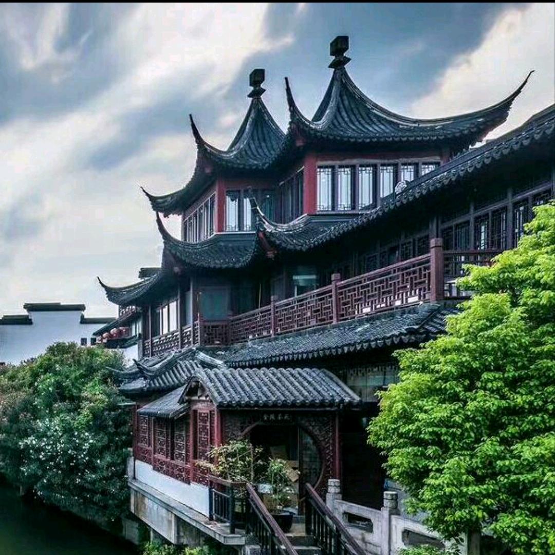 牡丹