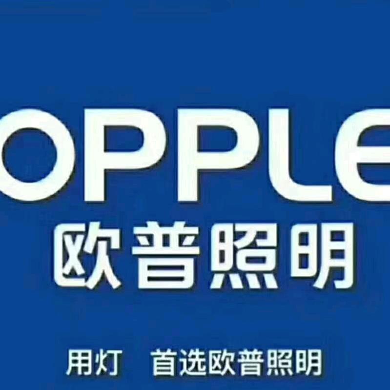 欧普照明（内黄店）