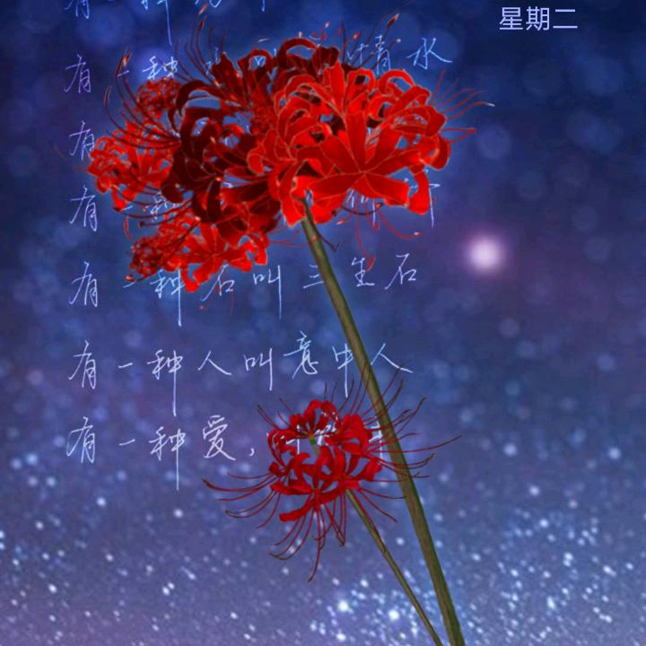 人生如茶
