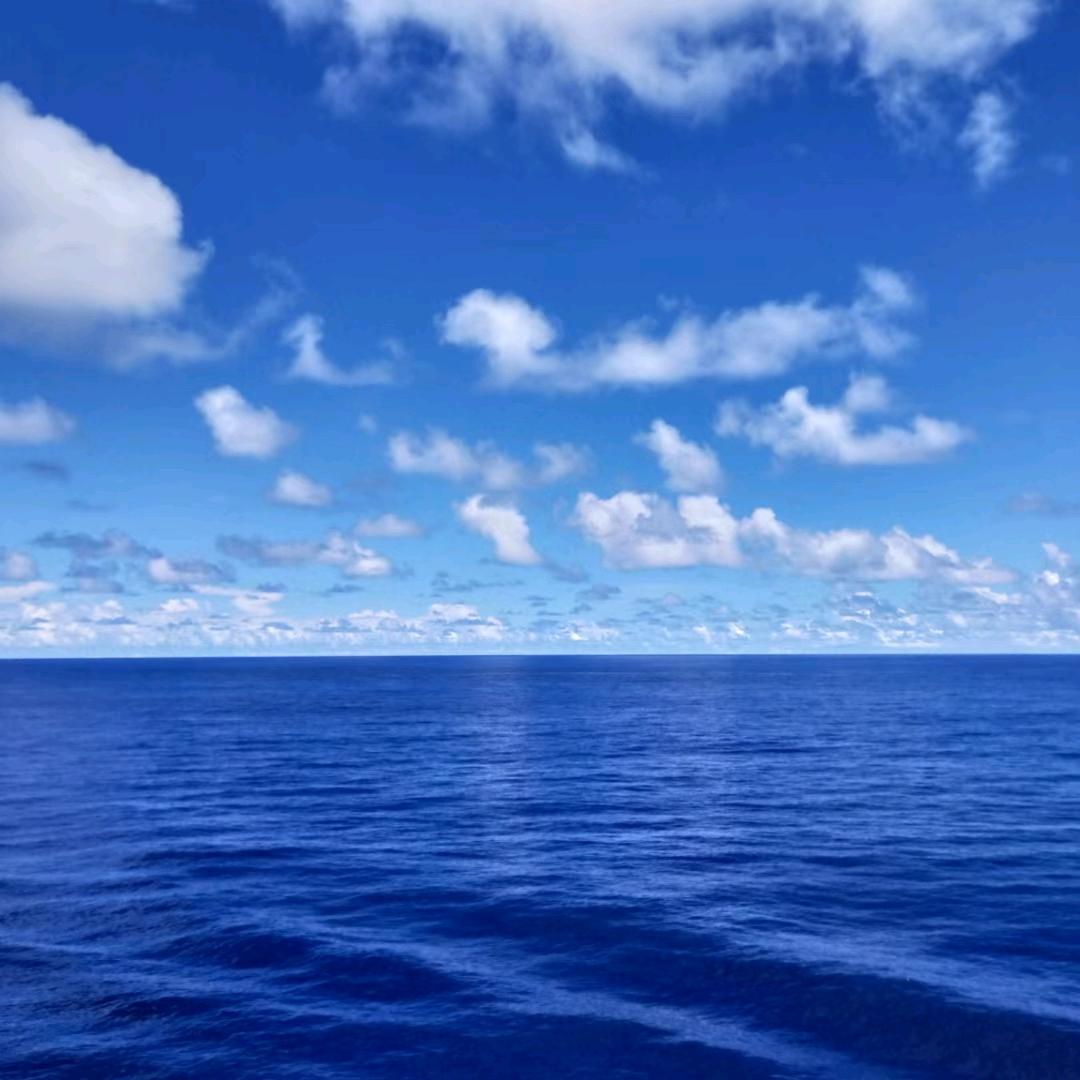 深海🔥