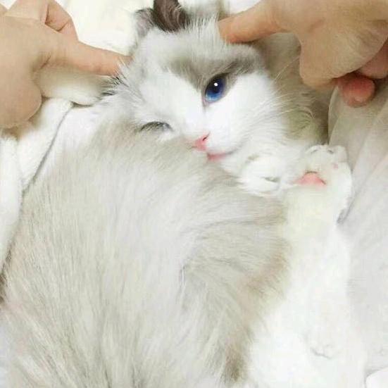 没有撤退可言！！！