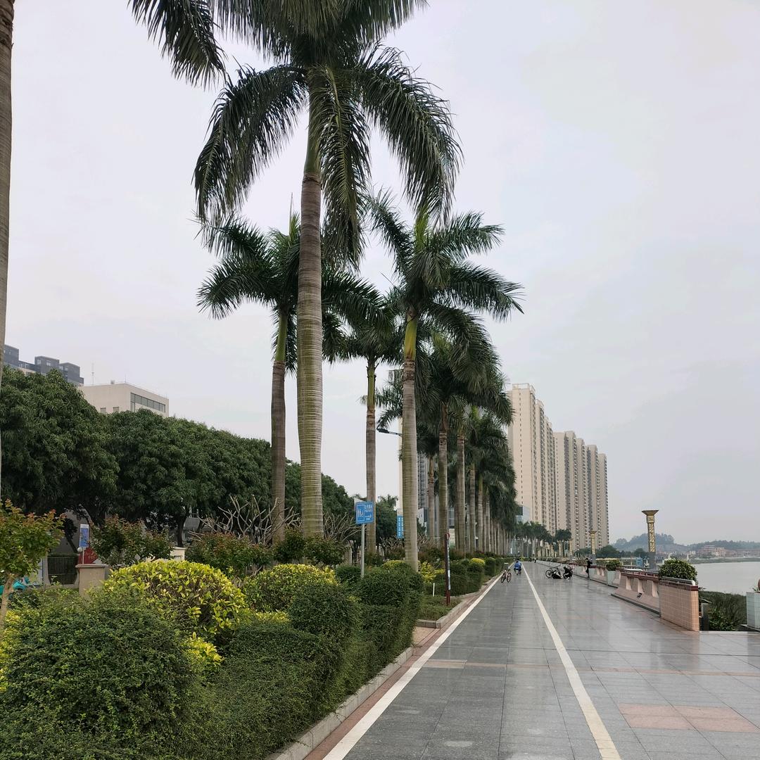 农村罗哥